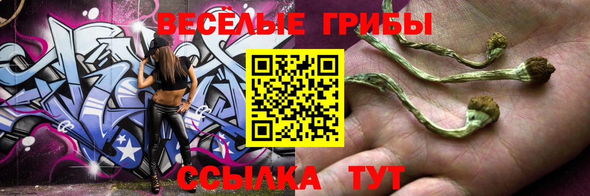 Шахты  Галлюциногенные грибы прущие грибы  Псилоцибиновые грибы прущие грибы  Вход с VPN 