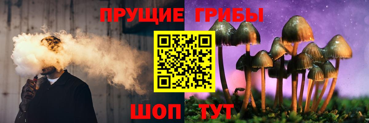 Псилоцибиновые грибы Magic Shrooms Шахты